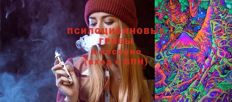 Псилоцибиновые грибы Magic Shrooms  Белебей 